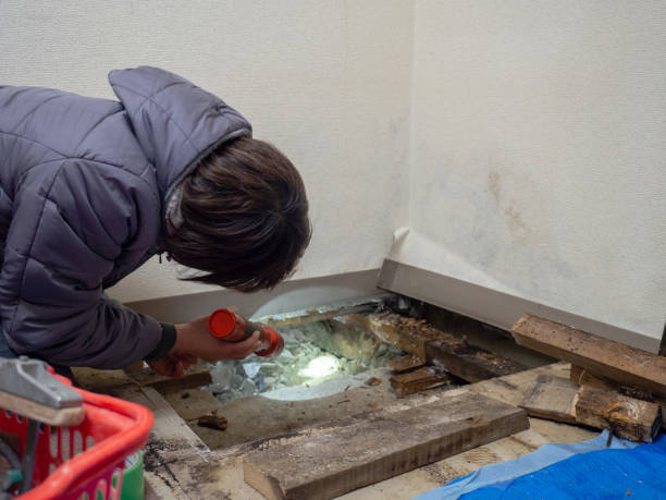 Best Real Estate Mold Inspection  in Champlin, MN