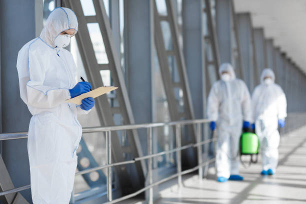 Mold Odor Removal Services in Champlin, MN