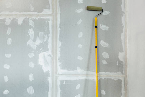 Best Industrial Mold Remediation  in Champlin, MN