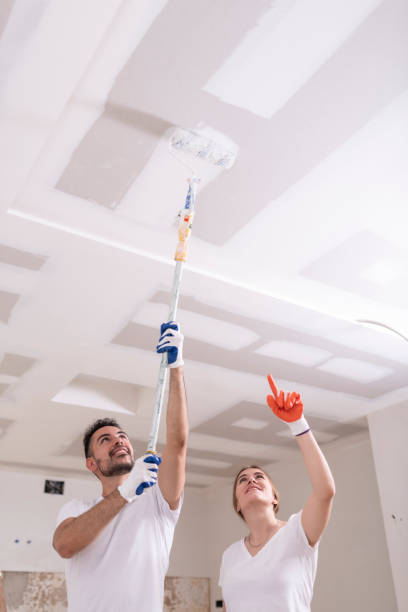Best HVAC Mold Inspection and Cleaning  in Champlin, MN