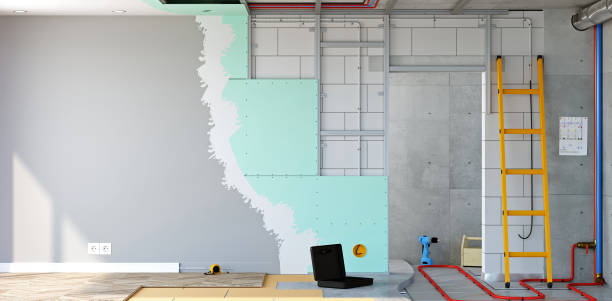 Best Asbestos and Lead Testing During Mold Inspection  in Champlin, MN