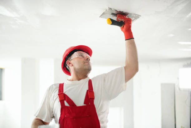 Reliable Champlin, MN Mold Removal Solutions