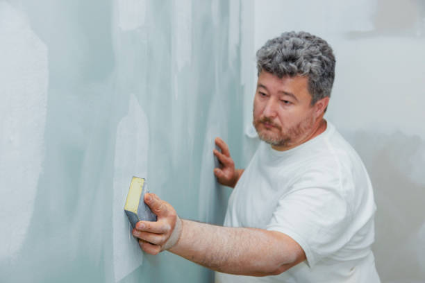 Mold Odor Removal Services in Champlin, MN