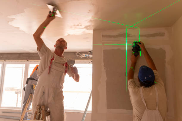 Best Residential Mold Inspection & Testing  in Champlin, MN